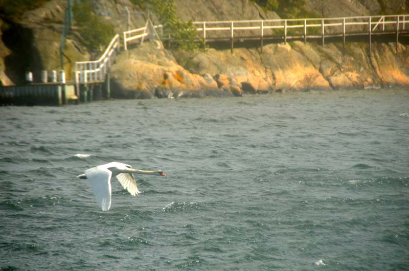 17-05-31_Skan_1678-GAB_1003