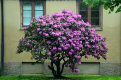 17-05-31_Skan_0983-GAB_0557